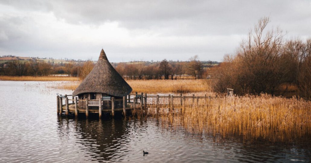 shot-wooden-hut-built-lake-surrounded-by-brown-river-cane