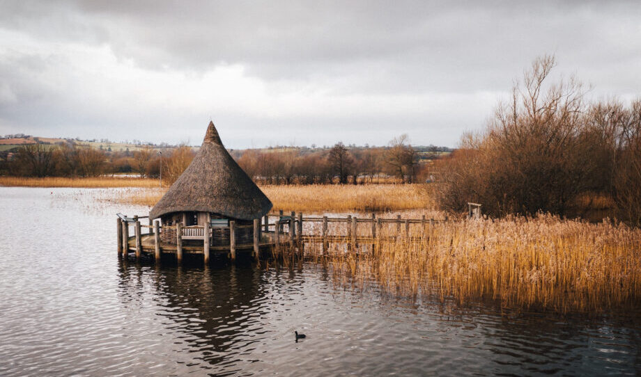 shot-wooden-hut-built-lake-surrounded-by-brown-river-cane shot-wooden-hut-built-lake-surrounded-by-brown-river-cane